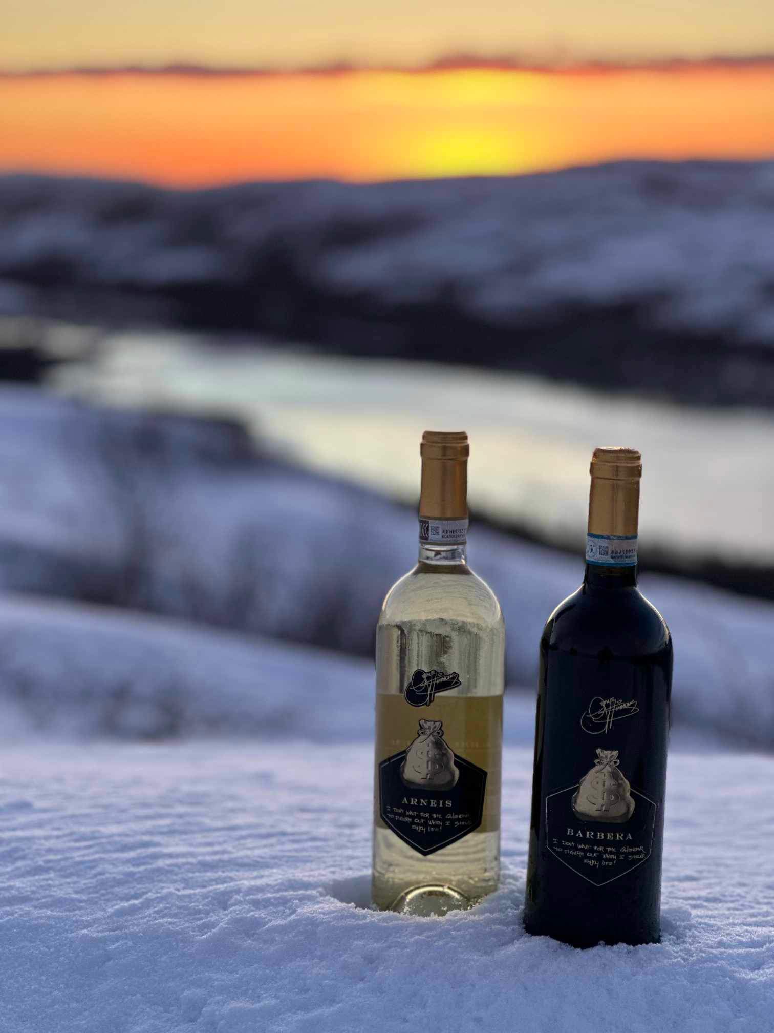 GeneSimmonsMoneyBagWine.com